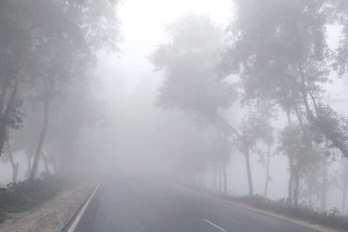উত্তরপূর্বাঞ্চলে কুয়াশা পড়ার পূর্বাভাস