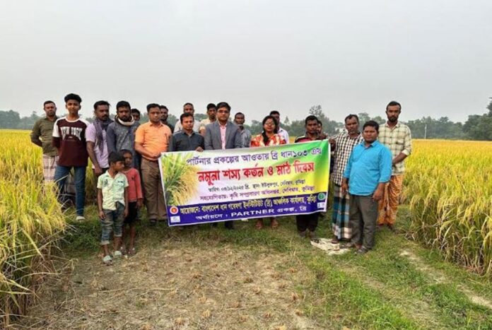 1764833181-c1eb083c0cefba520c124326a6df032c ব্রি ধান-১০৩ এর সাফল্য : ২ একর থেকে বেড়ে ৩০ হেক্টর জমিতে চাষ