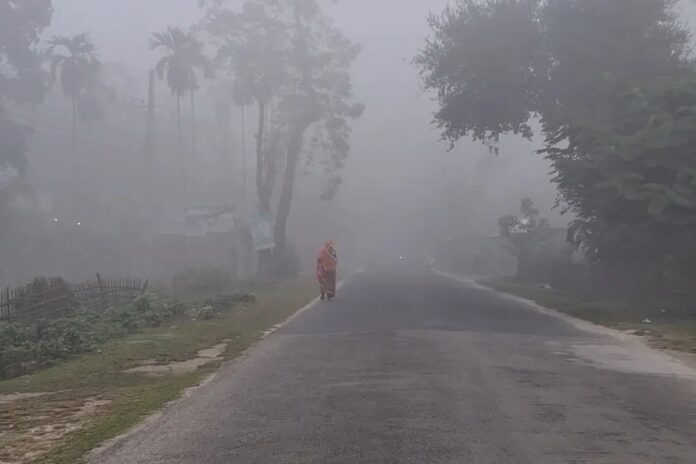 শীতের তীব্রতা বেড়েছে তেঁতুলিয়ায়