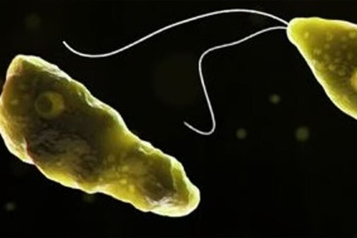 1764935481-adda805a924e439f11ef49cba29ab560 কেরালায় মস্তিষ্কখেকো অ্যামিবা সংক্রমণে ৪২ জনের মৃত্যু