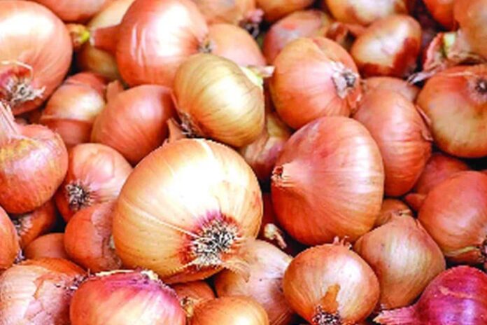 1765035586-fdb35f69ea9d3c98a5035446f741974e সীমিত পরিসরে পিঁয়াজ আমদানির অনুমোদন