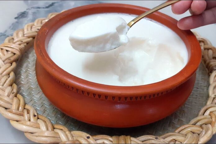 1765208899-d977abd3eda43770fe1d0d25e226a468 শীতে প্রতিদিন টক দই খেলে কী উপকার?