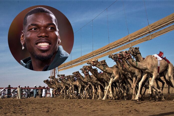 1765364952-4059cb3d6948dc3d1b355b1de6342f72 উট দৌড়ের দলে বিনিয়োগ করলেন পগবা