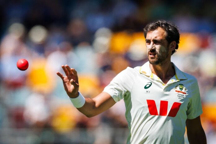 1765369594-fcb7055fcb6005bde4db7e67c10c3bee ক্যারিয়ারসেরা র্যাঙ্কিংয়ে স্টার্ক