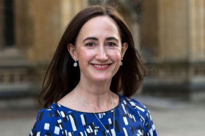 1765408605-40ba9525cb51a331b89e0072a6521df1 ব্রিটিশ লেখিকা সোফি কিনসেলা আর নেই