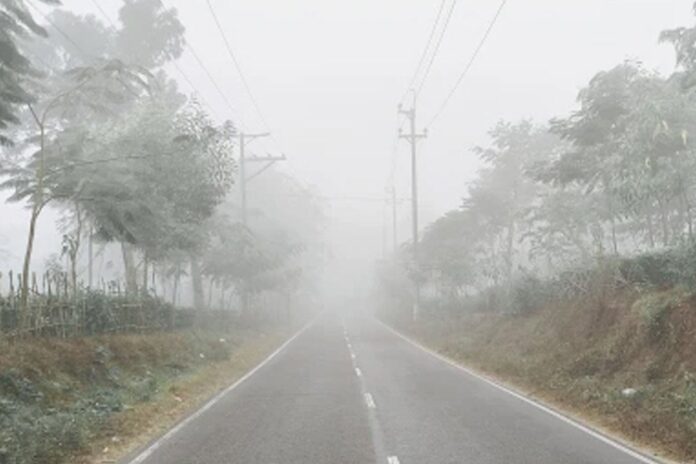 1765422087-2f1260d0365e4b9f93f3493b3444d38d শ্রীমঙ্গলে সর্বনিম্ন তাপমাত্রা ১০.৫ ডিগ্রি সেলসিয়াস