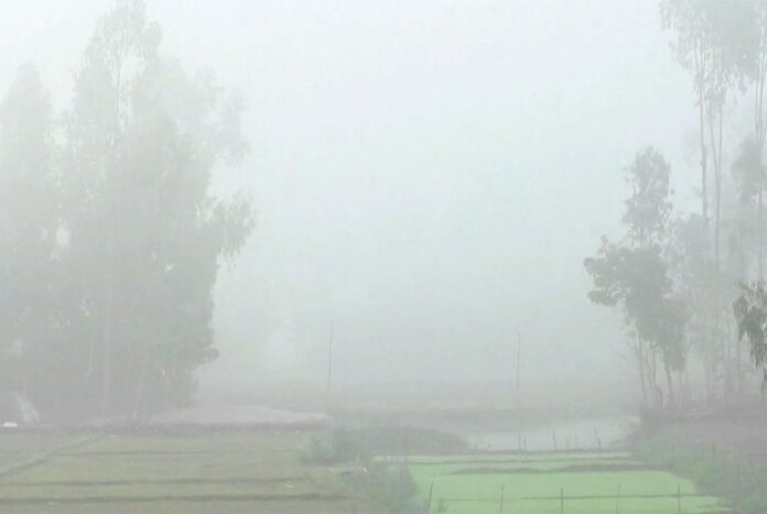 1765539779-2a62c20fc476b77e3d093758cd847816 কুড়িগ্রামে শীতে জবুথবু জনজীবন