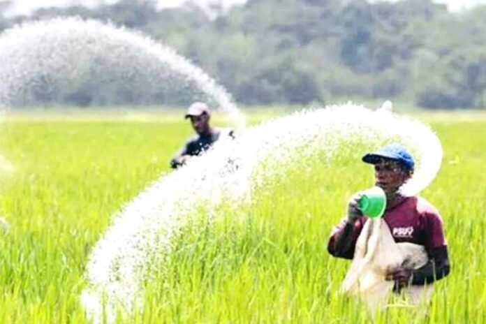 ৮০ হাজার মেট্রিক টন সার কিনবে সরকার
