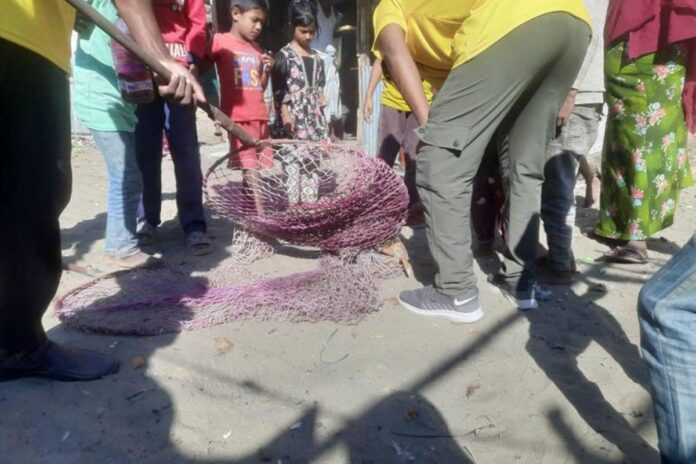 1765889819-1f836450c576f59be98bb7c7469d3d43 কক্সবাজারে জলাতঙ্কের টিকা পাচ্ছে ৩৫ হাজার কুকুর