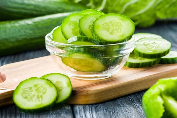 1765958678-949badd3dad97d739d3ce3d200406f70 শীতকালে শসা খেলে সত্যিই ঠান্ডা-কাশি হয়?