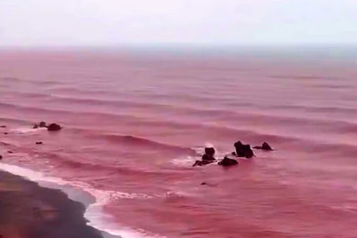 1765984508-896af2f2c46ddc821f8096cbabc2b04c ইরানের দ্বীপ উপকূলের পানি রক্তলাল হওয়ার রহস্য কী?