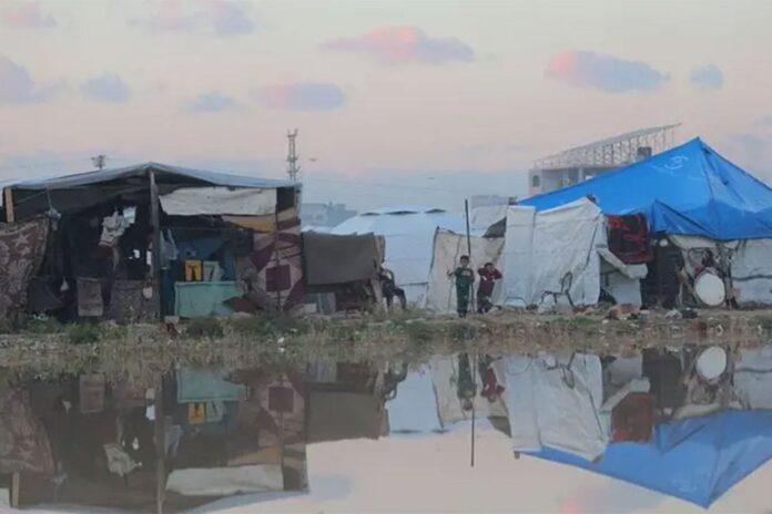 1766050729-bb9e7c9d610ad12d035acef7be92e80e ভারী বৃষ্টি গাজাবাসীর জন্য আরো দুর্ভোগ তৈরি করেছে : জাতিসংঘ