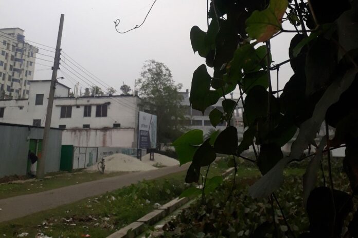 কুয়াশার সাথে হিমেল হাওয়ায় শীতে কাঁপছে দিনাজপুরবাসী