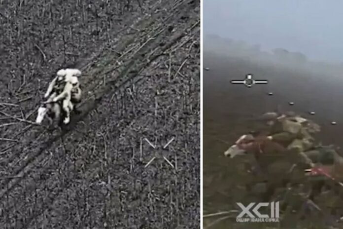 1766448648-bab560db6ec6d5b378e7e4c2ac0dd536 ঘোড়ায় চড়া সেনা, আকাশে ড্রোন: ইউক্রেন যুদ্ধে নতুন দৃশ্য