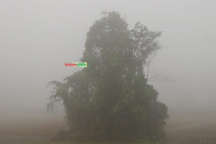 সাত জেলায় বইছে মৃদু শৈত্যপ্রবাহ