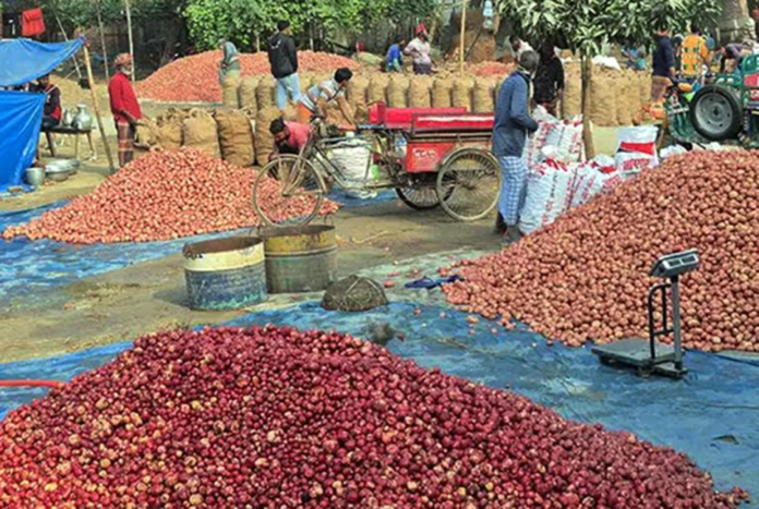 দিনাজপুরে নতুন আলু তোলার ধুম, দাম নিয়ে দুশ্চিন্তায় চাষিরা