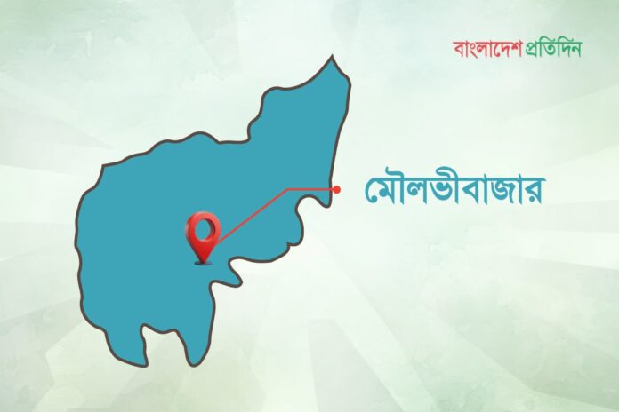 মা-ছেলের রহস্যজনক মৃত্যু