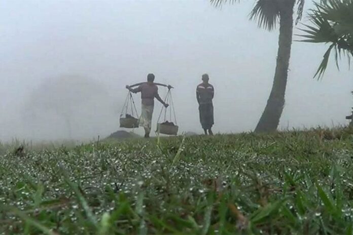 1767165213-6930cd41f17351d1030648bfd3dace13 ২১ জেলায় বইছে শৈত্যপ্রবাহ