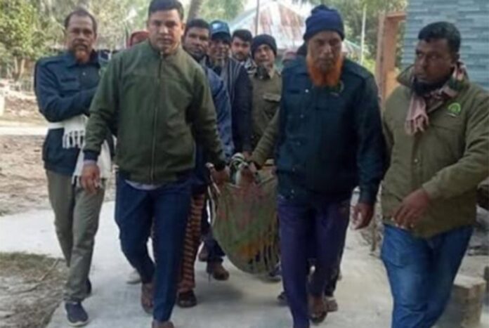 লোকালয়ে আসা হরিণ সুন্দরবনে অবমুক্ত