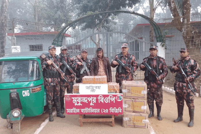 ব্রাহ্মণবাড়িয়ায় বিজিবির অভিযানে ভারতীয় চোরাচালান পণ্য জব্দ