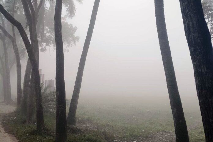 জানুয়ারিতে ৫টি শৈত্যপ্রবাহের আশঙ্কা