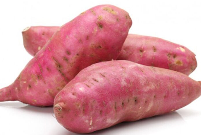 মিষ্টি আলুর পুষ্টিগুণ