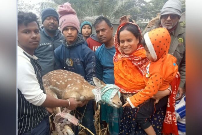শ্যামনগরে লোকালয়ে ফের সুন্দরব‌নের হরিণ, ব‌নে অবমুক্ত