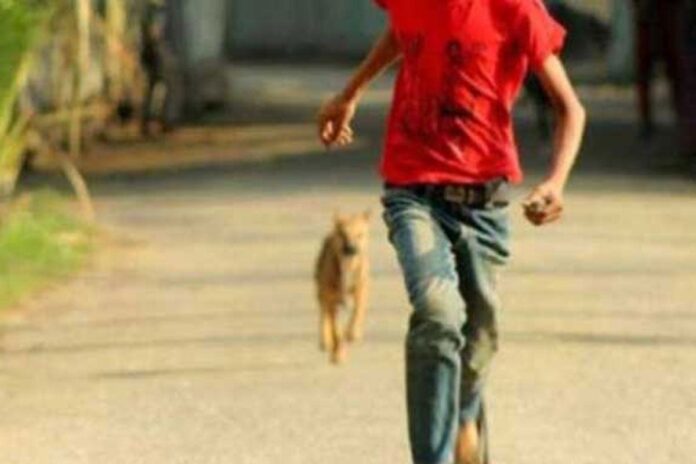 1767913334-cfe20ede062e5359336ab3d0b8cd64f7 যশোরে একদিনে কুকুরের কামড়ে ১৫ জন আহত