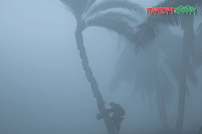 শৈত্যপ্রবাহ বইছে ২০ জেলায়, সর্বনিম্ন তাপমাত্রা তেঁতুলিয়ায়