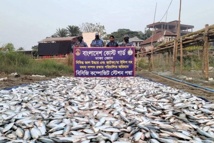 মুন্সীগঞ্জে ১৯ লাখ টাকার জাটকা আটক