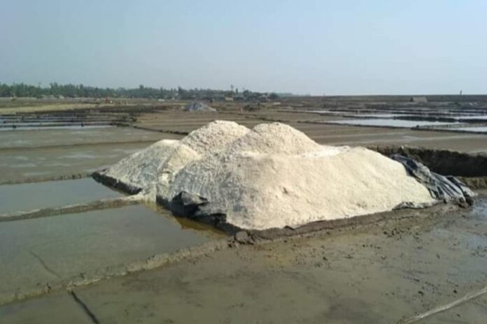 আমদানির খবরে কুতুবদিয়ার লবণচাষিদের উদ্বেগ