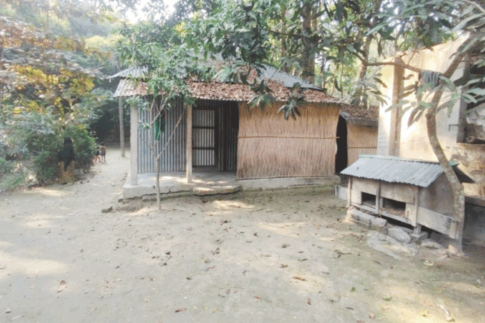 1768372959-fee4e47f3e4c529b1f2c751035a4492c গোপালগঞ্জে মা-বাবাকে জীবন্ত কবর দেওয়ার চেষ্টা, দুই ছেলে গ্রেফতার