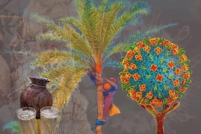 1768455829-e9c3cdeefc0bc6de93f0329a5f3f33d2 শীতের মৌসুমে বাড়ছে নিপাহ ভাইরাসের আতঙ্ক: যা জানা জরুরি