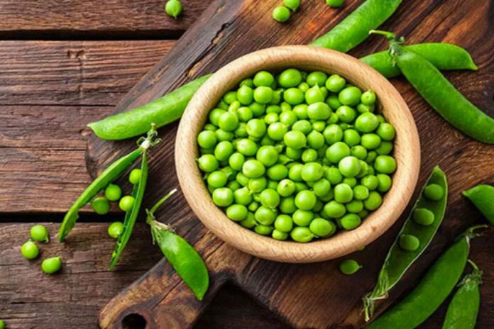 মটরশুঁটির যত পুষ্টিগুণ