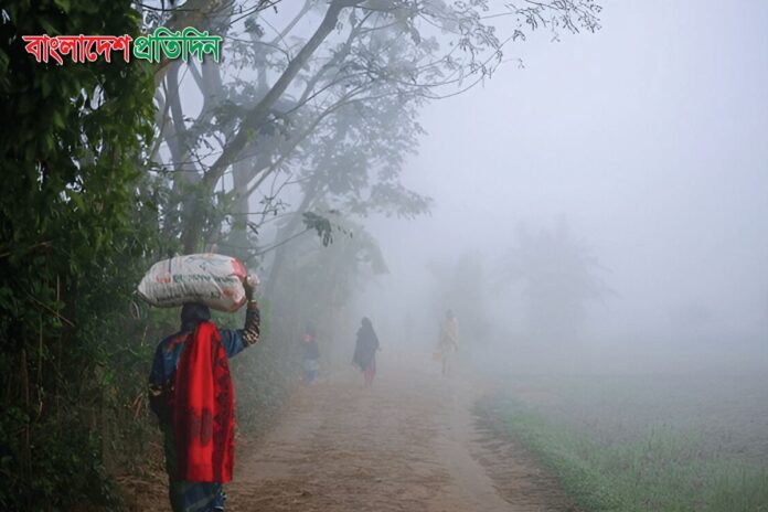 ৩ জেলায় বইছে মৃদু শৈত্যপ্রবাহ, জনজীবন বিপর্যস্ত