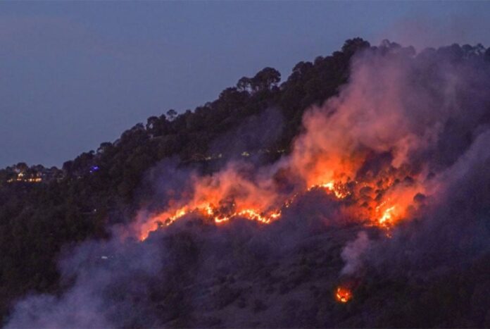 দাবানলে পুড়ছে ভারতের বিস্তীর্ণ বনাঞ্চল