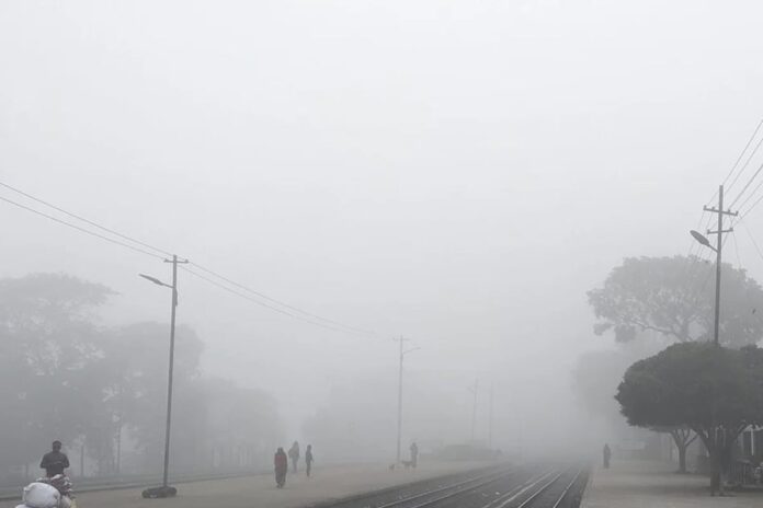 শীতে সুস্থ থাকবেন যেভাবে