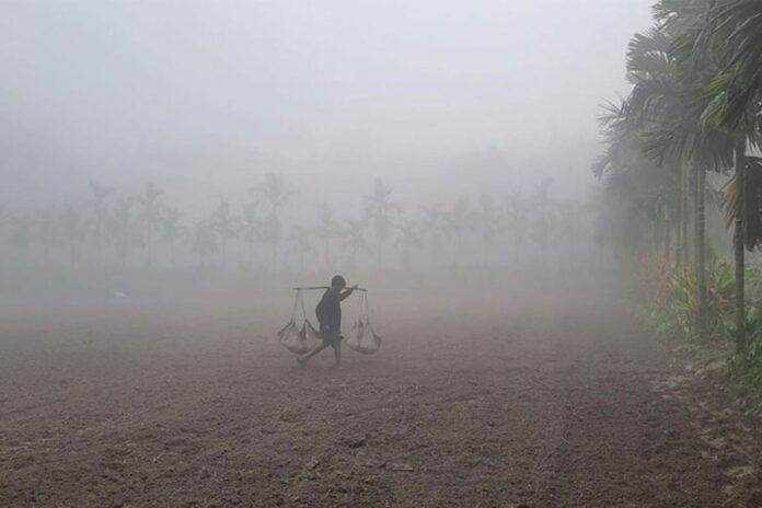 শীতে কাঁপুনি কমছে, তবে কি শেষ শৈত্যপ্রবাহ?
