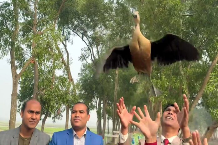 মুক্ত আকাশে ডানা মেলল শিকার হওয়া সাতটি অতিথি পাখি