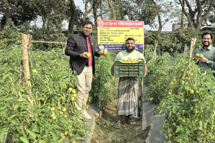 সবজি চাষে বদলে গেছে নবীনগরের ‍কৃষি-মানচিত্র
