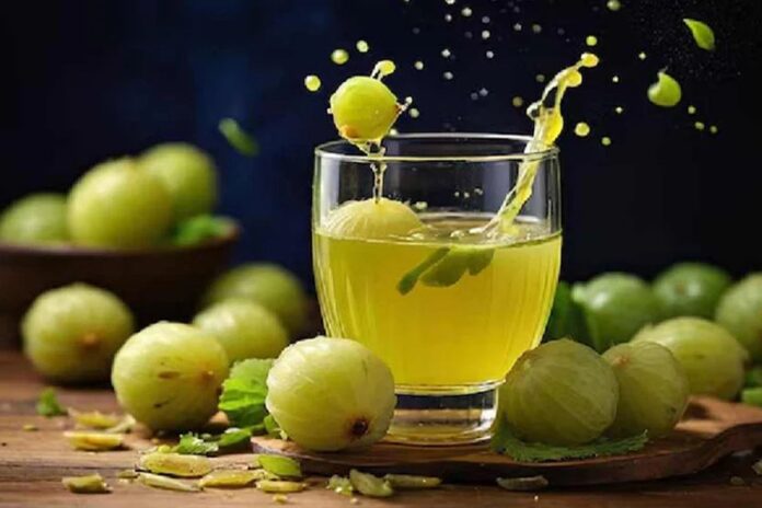 1769164432-caeb0b32468d250e2ef4815e880dcdfb ঝলমলে চুল পেতে জেনে নিন আমলকির উপকারিতা