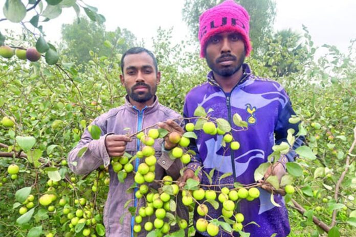 বল সুন্দরীতে বাজিমাত