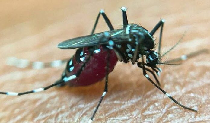 FB_IMG_1769062864835