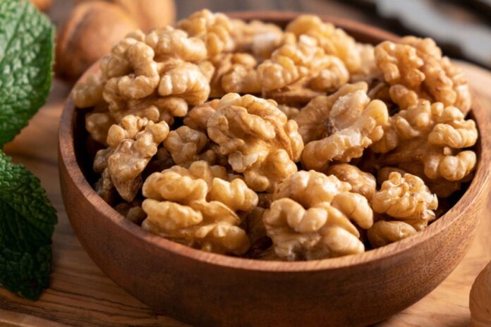 স্মৃতিশক্তি বাড়াতে আখরোটের কার্যকারিতা