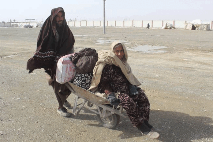 1770991206-b0b50d3fc83d45f294693120c22574ab চলতি বছরে পাকিস্তান ও ইরান ছেড়েছে দেড় লাখ আফগান