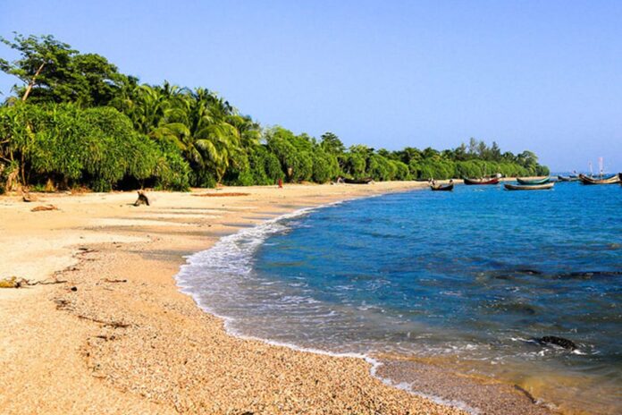 1771611272-bcb5ba8d41f473c411a8d826239ecc4a সেন্টমার্টিনে কেয়াগাছ কেটে রিসোর্ট নির্মাণের অভিযোগে মামলা