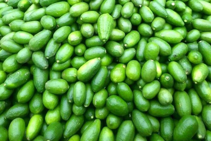 টাঙ্গাইলে লেবুর দাম আকাশচুম্বী