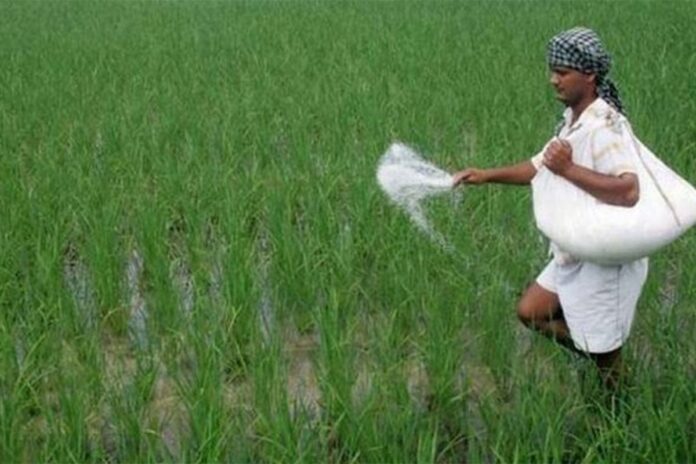 সারের বাড়তি দর, চাপে কৃষক ঝুঁকিতে খাদ্য নিরাপত্তা