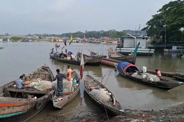 ইলিশ উৎপাদন বাড়াতে মার্চ-এপ্রিলে মেঘনা নদীতে মাছ ধরা নিষিদ্ধ