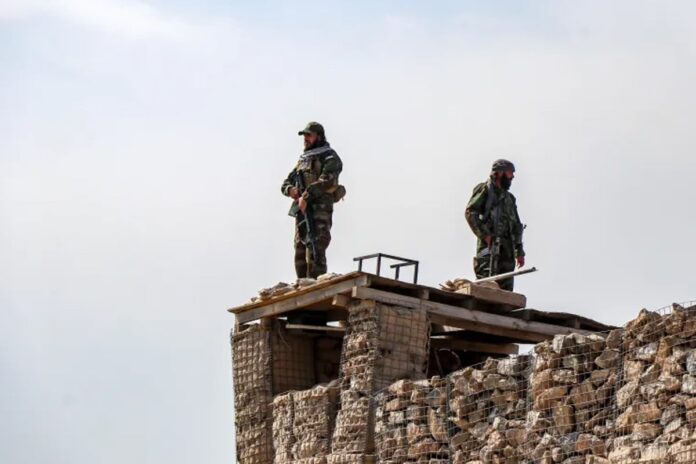 1772186859-156005c5baf40ff51a327f1c34f2975b কেন পাকিস্তান-তালেবানের এই লড়াই?